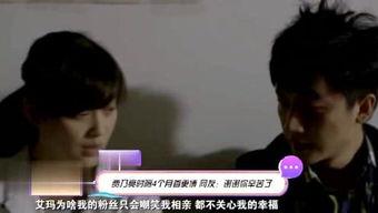 明星爆料狗腿视频播放,明星爆料背后的真相与争议